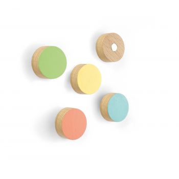 Magnet Timber Round - set of 5 assorted