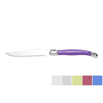Cosy & Trendy 6pcs Steak Knife Set With Colored Handle