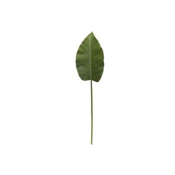Cosy @ Home Blatt Magnolia Grun 75cm Kunststoff