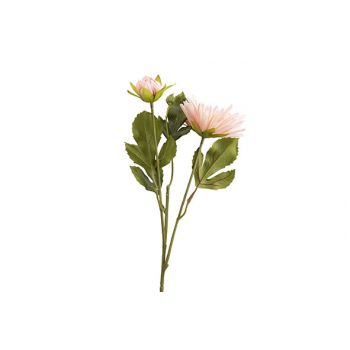 Cosy @ Home Zweig Ranunculus Rosa 13x13xh43cm Kunsts